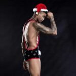 Lurevibe - Christmas Mens Sexy Lingerie One-piece Christmas Costume For Male - Image 2